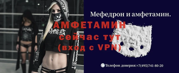 мяу мяу кристалл Няндома