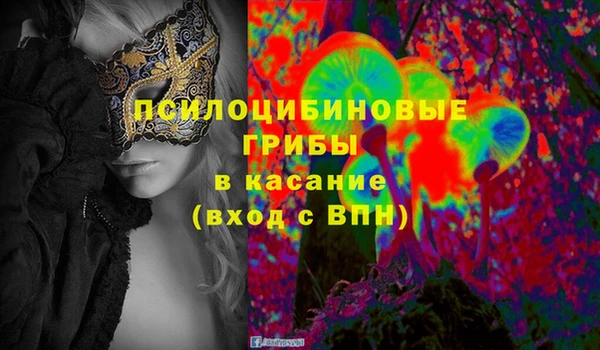 амф Нязепетровск