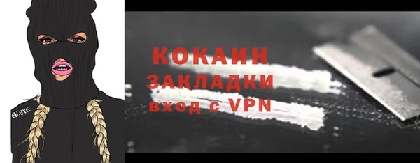 мяу мяу кристалл Няндома