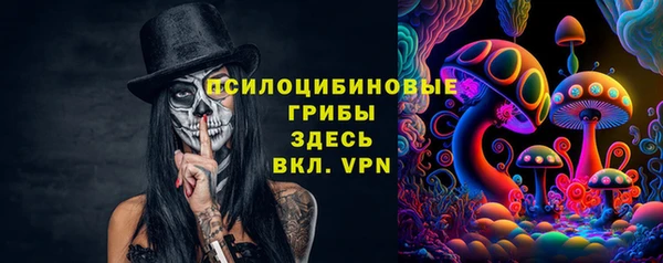 мяу мяу кристалл Няндома